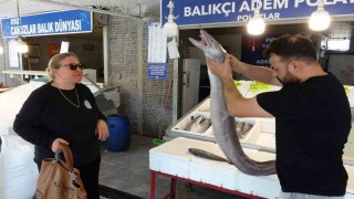 Mersinde dev yılan balığı tezgahta ilgi odağı oldu