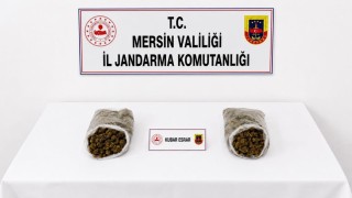 Mersinde jandarmadan uyuşturucu operasyonu: 2 tutuklama