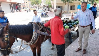 Mersin’de Sıcakta Yığılan At Koruma Altına Alındı