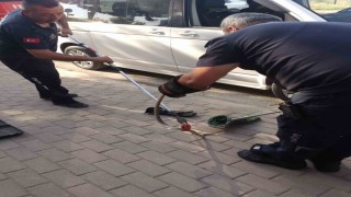 Minibüsün motoruna giren yılan itfaiye ekiplerini harekete geçirdi