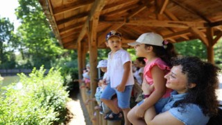 Minik kaşifler hayvanat bahçesinde