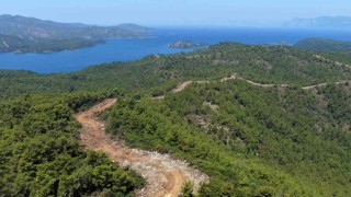 Muğla ve Aydında Orman yangın şerit yolu uzunluğu 2 bin kilometreye çıkıyor