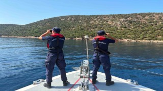 Muğla'da orman yangınlarına karşı 3 bin personelle Yeşil Vatan nöbeti