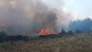Muğladaki orman yangınında 1 kişi gözaltına alındı