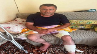 Muradiyede arazi anlaşmazlığı silahlı kavgaya dönüştü: 1 yaralı