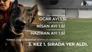 Narkotik köpeği ‘Jardi üçüncü kez zirvede