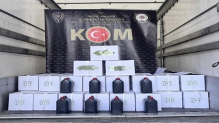 Niğde'de bin litre etil alkol ele geçirildi