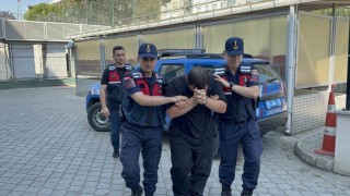 Odunluğa saklanan 4 bin 531 uyuşturucu hap ele geçirildi: 1 tutuklama