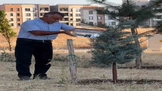 Oğlaklı Mahallesi hizmet bekliyor