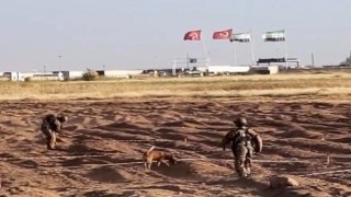 Öncüpınar Sınır Hattında mayın temizleme çalışmaları sürüyor