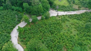 Ordu'da beton yol çalışmaları
