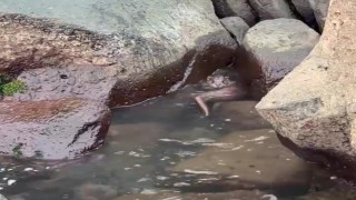 Orduda kayalıkların arasında avlanan su samuru görüntülendi