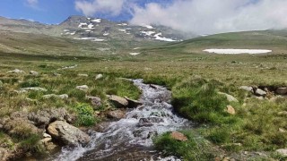 Ordunun yaylalarında yaz güzelliği