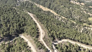 Orman köylülerine endüstriyel odundan 1 milyar TLlik katkı