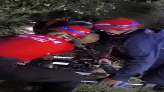 Ormanlık alanda mahsur kalan kişi ekiplerin çalışmasıyla kurtarıldı
