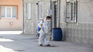 Osmangazi Belediyesinden haşereye karşı anında müdahale