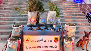Osmaniye İl Jandarma'dan Uyuşturucuya Darbe: Kadirli'de 4 Şüpheli Gözaltında