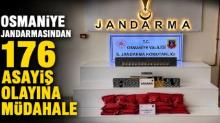 Osmaniye Jandarmasından 176 Asayiş Olayına Müdahale