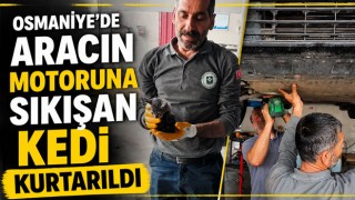 Osmaniye'de Aracın Motoruna Sıkışan Kedi Kurtarıldı