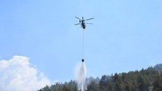Osmaniye’de Başlayan Orman Yangını Kontrol Altında