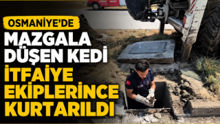 Osmaniye'de Mazgala Düşen Kedi İtfaiye Ekiplerince Kurtarıldı