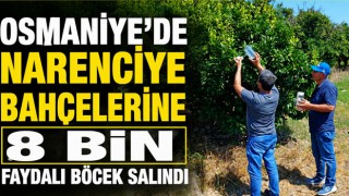 Osmaniye'de Narenciye Bahçelerine 8 Bin Faydalı Böcek Salındı