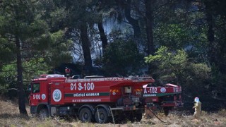 Osmaniye'de orman yangını kontrol altına alındı, soğutma çalışmaları sürüyor