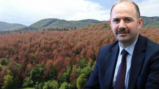 Osmaniye'de Orman Yangını Tedbirleri Artırıldı: İşte Girişe İzin Verilen Alanlar