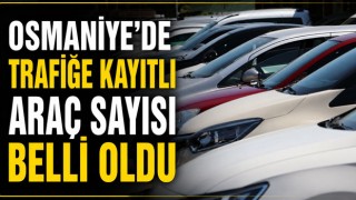 Osmaniye'de Trafiğe Kayıtlı Araç Sayısı Belli Oldu