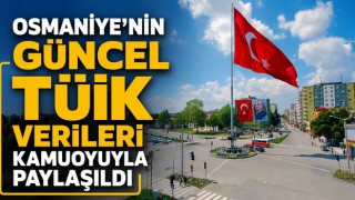 Osmaniye'nin Güncel TÜİK Verileri Kamuoyuyla Paylaşıldı