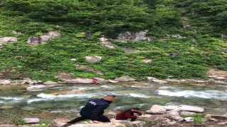 Papağanını kurtardı, kendisi mahsur kaldı
