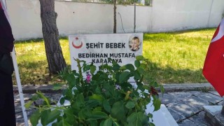 PKKnın şehit ettiği 11 aylık Bedirhan bebek ve annesi unutulmadı