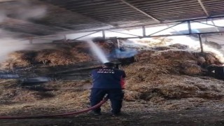 Reyhanlıda samanlık yangını