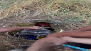 Rögara düşen keçiyi itfaiye kurtardı