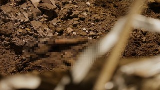 Rusyanın Ukrayna saldırılarında can kaybı 29a yükseldi