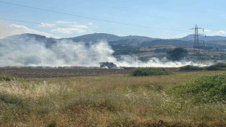 Samsun'da samanlık alanda çıkan yangın söndürüldü