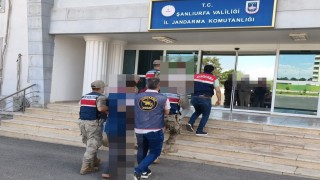 Şanlıurfa'da 32 şahsa göçmen kaçakçılığından işlem yapıldı