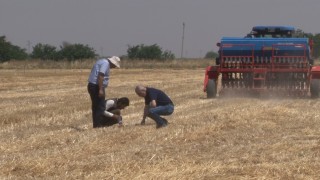 Şanlıurfada anız yakmadan üretim modeli yaygınlaşıyor: Toprak korunuyor çiftçi kazanıyor
