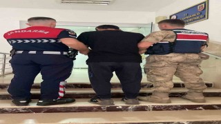 Şanlıurfada dolandırıcılıktan aranan hükümlü yakalandı