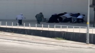 Şanlıurfa'da kardeşler arasında taşlı sopalı kavga: 3 yaralı