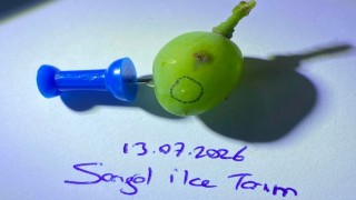 Sarıgöllü üzüm üreticilerine kritik uyarı