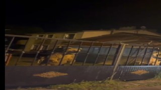 Sarıkamış'ta Vatandaş dışarıda bekledi, ayılar bahçede misafir oldu