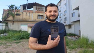 Sazan sarmalı yöntemiyle depremzedeyi ağına düşüremeyen dolandırıcı Keşke depremde enkaz altında kalsaydınız diye beddua etti