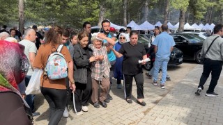 Şenlikte ağaçtan düşen dal yaşlı kadını yaraladı