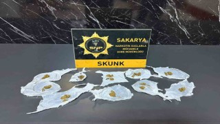 Serdivanda uyuşturucu operasyonu: 1 kişi tutuklandı