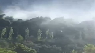Seydikemerde orman yangını