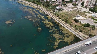 Seyhan Nehri kirliliğe teslim oldu, gönüllü genç sandalla temizliğe çıktı