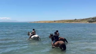 Sıcaktan bunalan gençler atlarıyla Van Gölünde serinledi