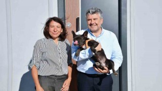 Şiddet gören köpeği Başkan Mesut Akbıyık sahiplendi