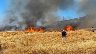 Simavda buğday tarlasındaki yangında 50 dekar alan zarar gördü